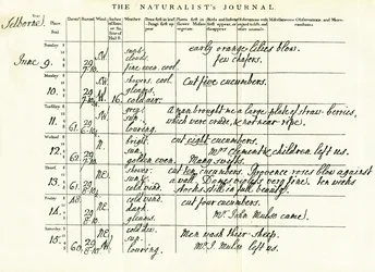 Senast färdiga sidan av Gilbert Whites Naturalists Journal, 9-15 juni 1793